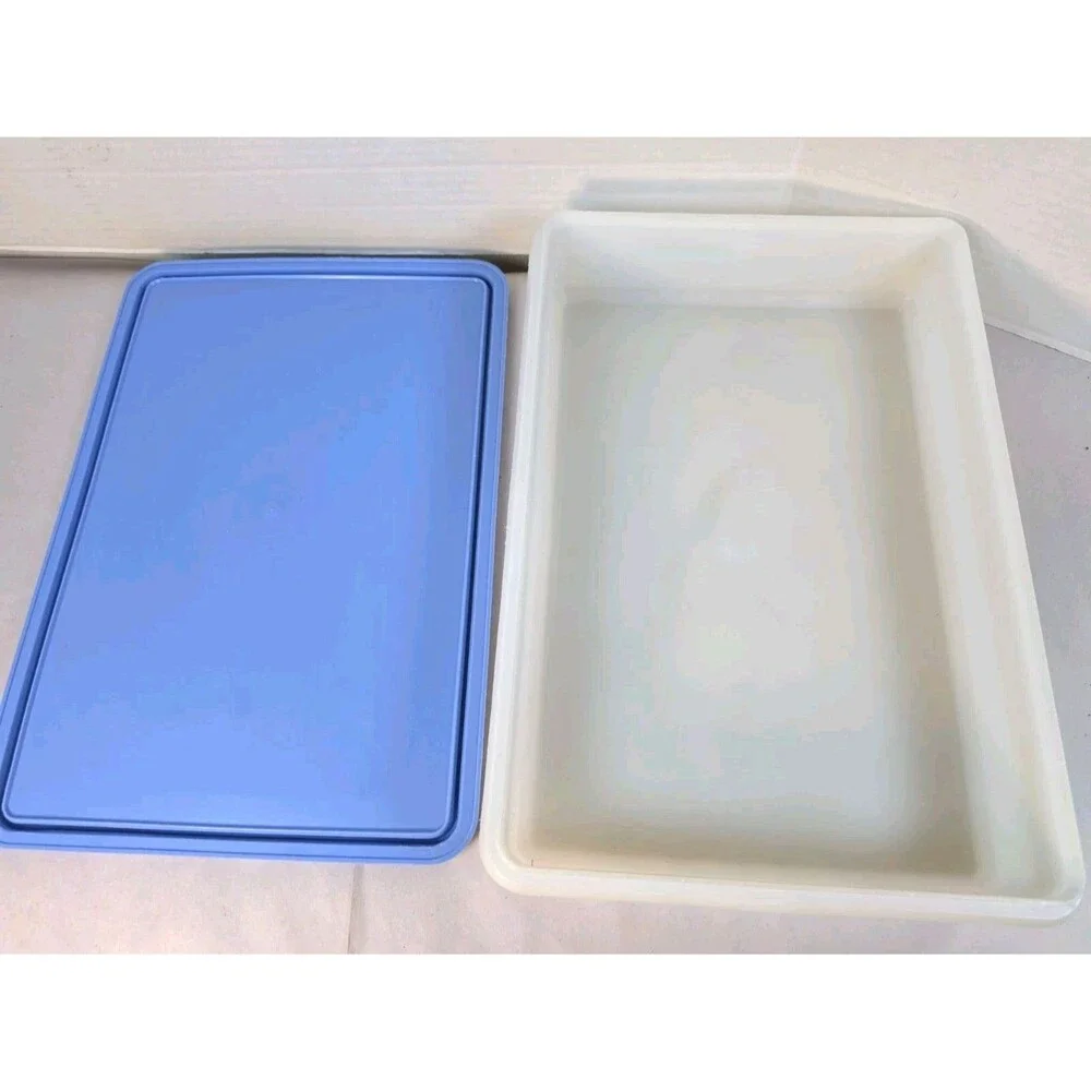 Vintage Tupperware 9 X 13 X 3 Snack & Store Sheer/ Blue Lid 290-2